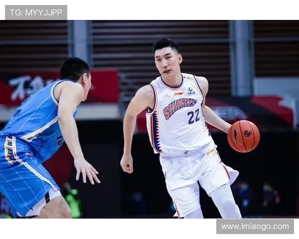 北京乒乓球队强势领跑锦标赛积分榜65分稳居第一位置